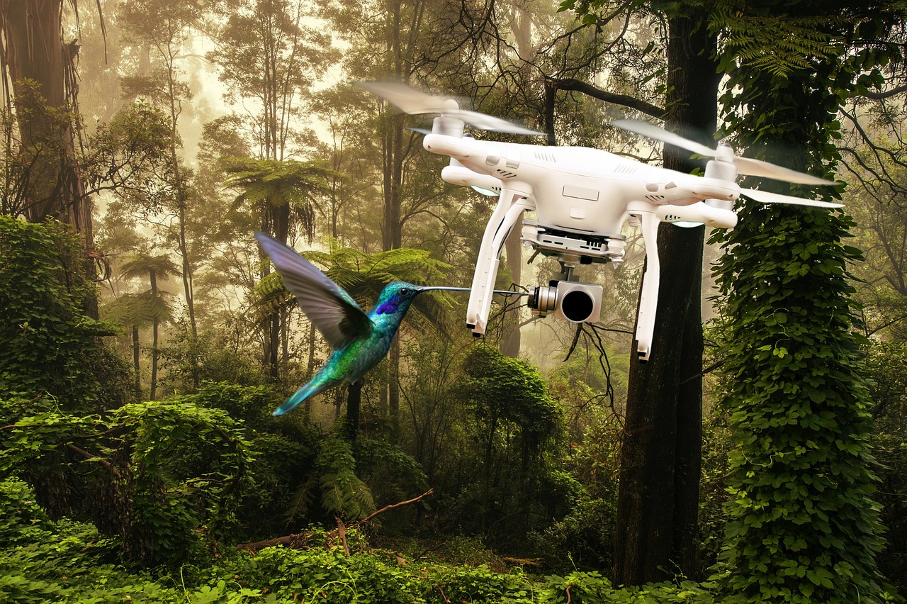 AI-Driven Target Recognition in Combat Drones